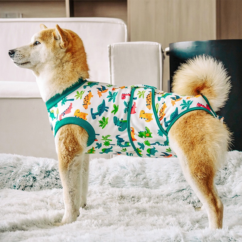 Dog Surgery Suit Female Spay P - Leather Work Factory review and price