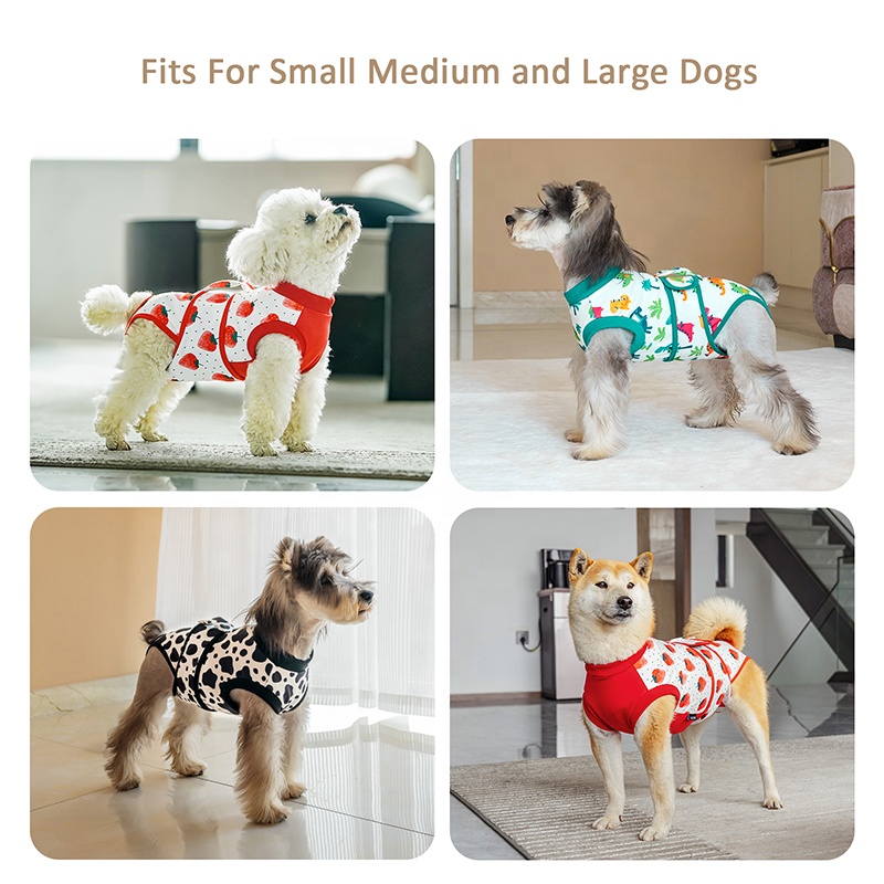 Dog Surgery Suit Female Spay P - Leather Work Factory review and price